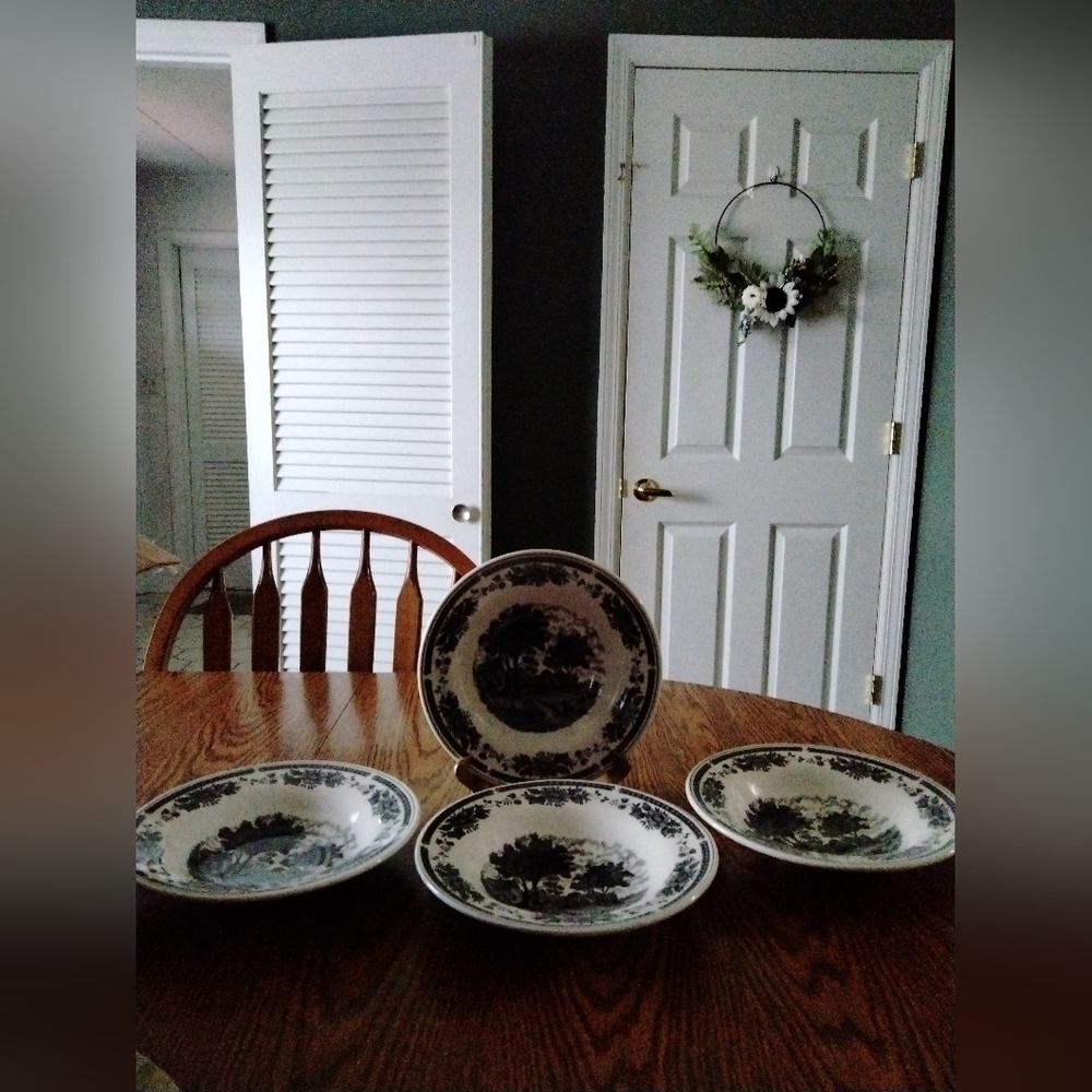 Set of 4 Oxford Brazil Soup Salad or Pasta Bowls Beautiful
